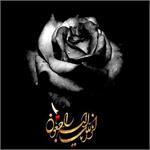 پیام تسلیت رییس هیئت کوهنوردی و صعودهای ورزشی استان در سوگ زنده یاد محبوبه شایان کوهنورد و مربی ارزشمند یخ و برف