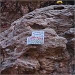 بازدید تخصصی سایت‌های دره‌نوردی استان